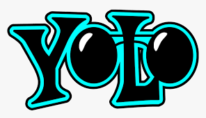 YOLO (You Only Look Once) - Revolutionizing the Field of Computer Vision