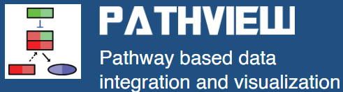 Pathview–A Comprehensive Web-Based Pathway Visualization Tool