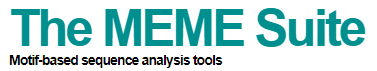 MEME Suite–A Comprehensive Toolkit for Motif Discovery and Analysis