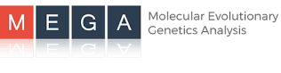 MEGA Software: Unleashing the Power of Molecular Evolutionary Analysis