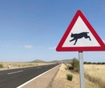 A Machine Learning Approach for Real-time Animal Detection on Highways