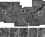 AI-Driven Enhancement of Retinal Pigment Epithelial Cell Visualization Using Adaptive OCT