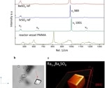 Barium Radium Sulfate Crystallization Kinetics with Lab-on-a-Chip and Computer Vision