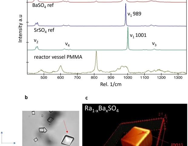 Barium Radium Sulfate Crystallization Kinetics with Lab-on-a-Chip and Computer Vision